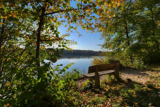 员迪巴拉 员迪巴拉